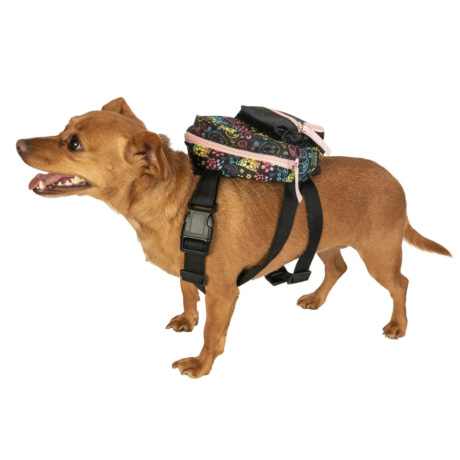 Justice Pet Nylon Ombre Wastebag Dispensing Backpack Harness, Black Ombre