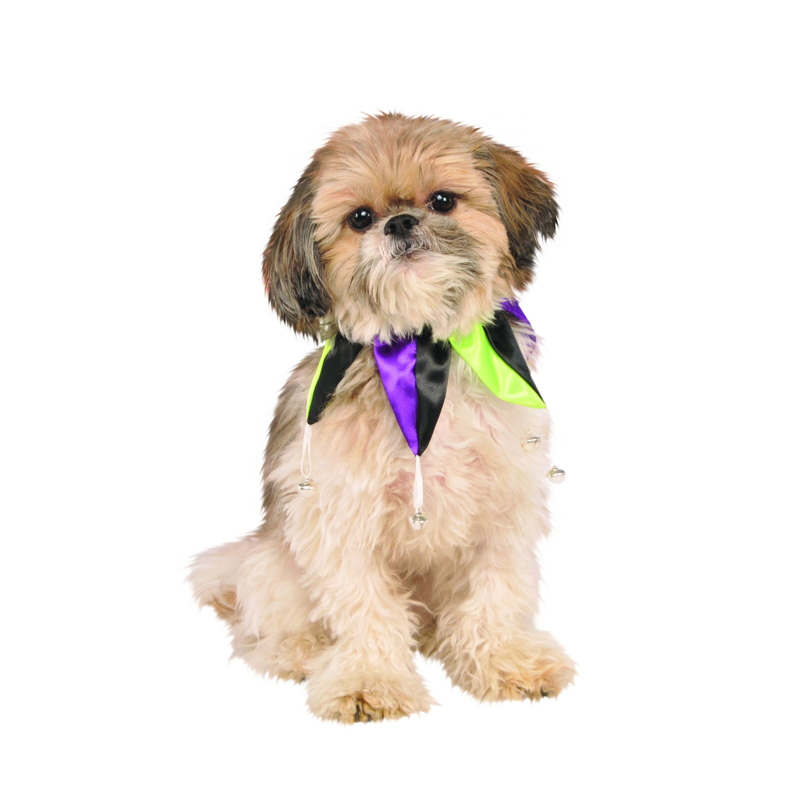 Rubies Pet Shop Dog or Cat Halloween Jester Collar Costume Multicolor Size M/L